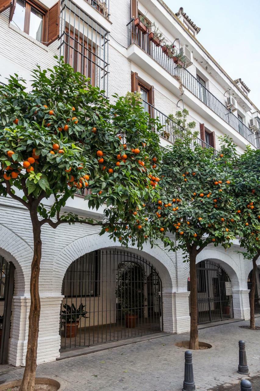 Appartement Nuevo Apartamento Casco Antiguo Wifi Ac Séville