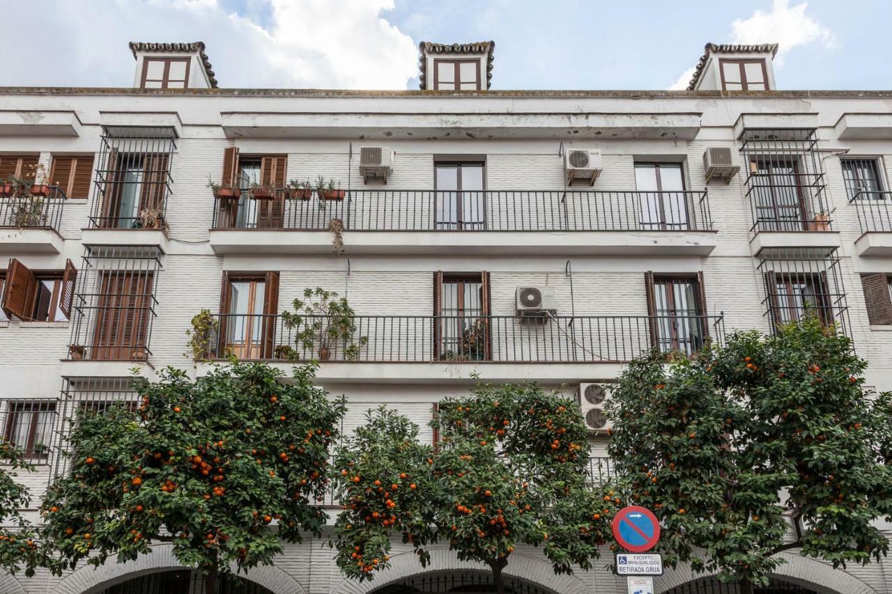 Nuevo Apartamento Casco Antiguo Wifi Ac Appartement